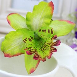 hårblomma grön orkidé