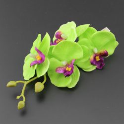 Ljusgröna orkidéer stor hårblomma rockabilly