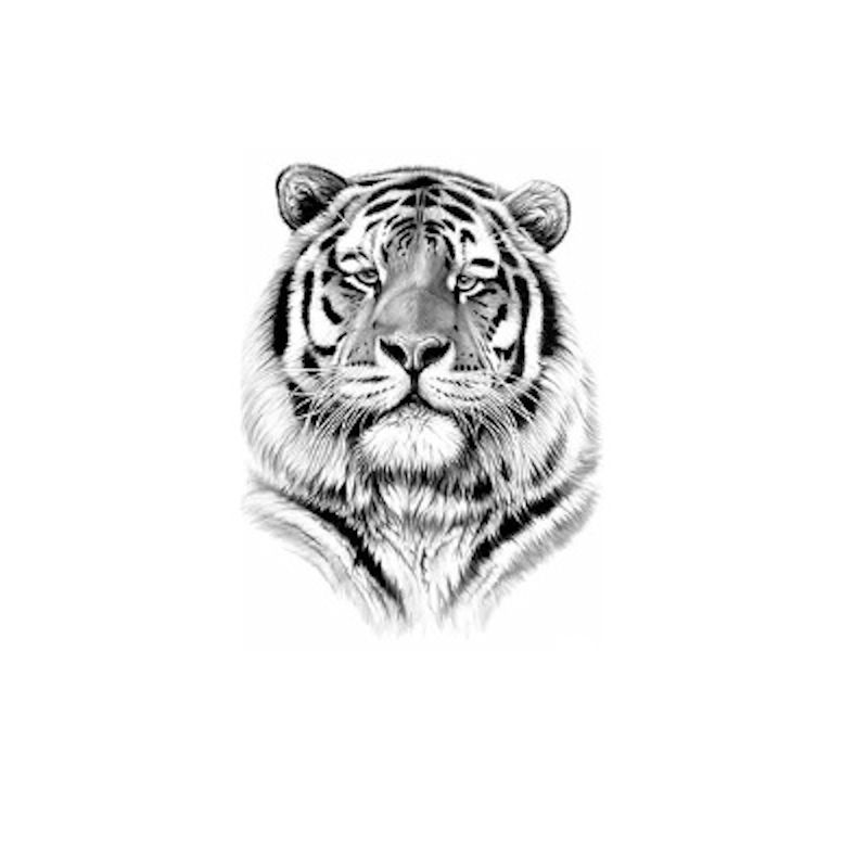 Engångstatuering tiger svartvit motiv rockabilly